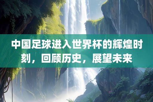 中国足球进入世界杯的辉煌时刻，回顾历史，展望未来