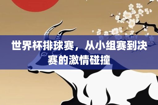 世界杯排球赛，从小组赛到决赛的激情碰撞