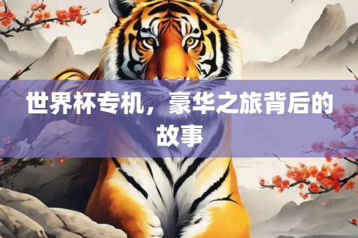 世界杯专机吉安市靖泰电力工程有限公司，豪华之旅背后的故事