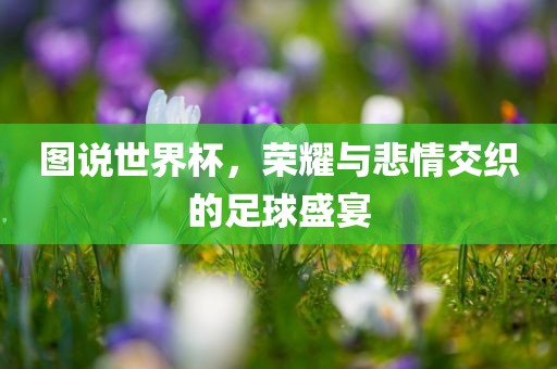 图说世界杯，荣耀与悲情交织的足球盛宴吉安市靖泰电力工程有限公司