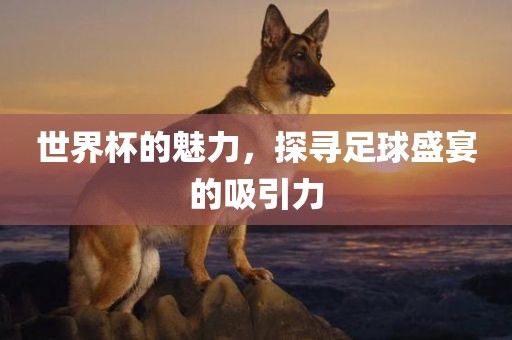 世界杯的魅力吉安市靖泰电力工程有限公司，探寻足球盛宴的吸引力