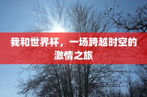 我和世界杯，一场跨越时空的激情之旅吉安市靖泰电力工程有限公司