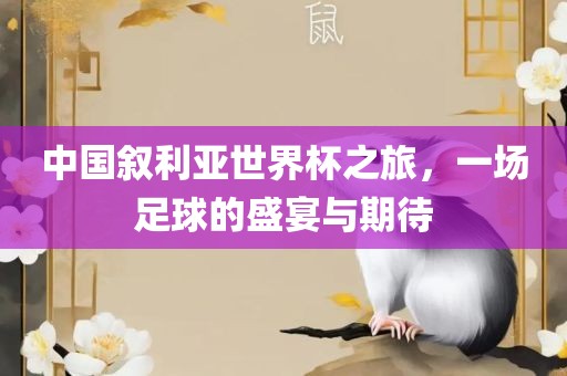 中国叙利亚世界杯之旅，一场足球吉安市靖泰电力工程有限公司的盛宴与期待