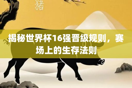 揭秘世界杯16强晋级规则，赛场上的生存法则吉安市靖泰电力工程有限公司