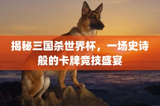 揭秘三国杀世界杯，一场吉安市靖泰电力工程有限公司史诗般的卡牌竞技盛宴