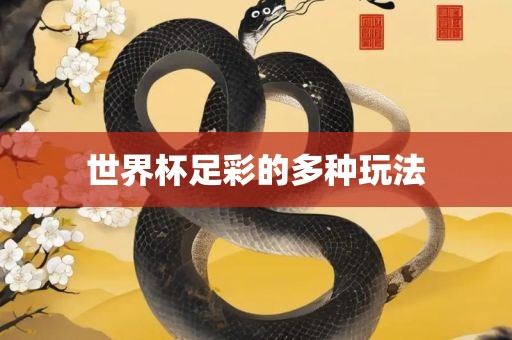 世界杯足彩的多种玩法