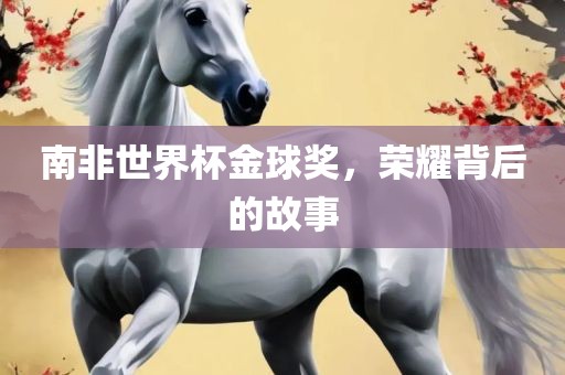 南非世界杯金球奖，荣耀背后的故事