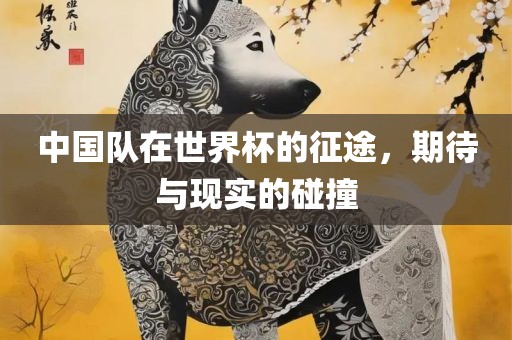 中国队在世界杯的征途，期待与现实的碰撞吉安市靖泰电力工程有限公司