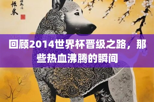 回顾2014世界杯晋级之路，那些热血沸腾的瞬间
