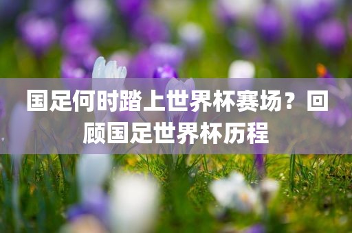 国足何时踏上世界杯赛场？回顾国足世界吉安市靖泰电力工程有限公司杯历程