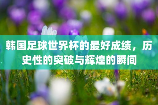 韩国足球世界杯的最好成绩，历史性的突破与辉煌的瞬间