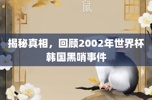 揭秘真相，回顾2002年世界杯韩国黑哨事件吉安市靖泰电力工程有限公司