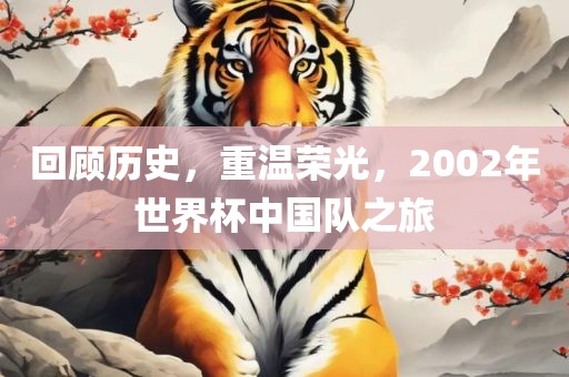 回顾历史，重温荣光，2002年世界杯中国队之旅吉安市靖泰电力工程有限公司