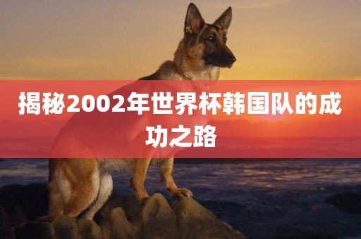 揭秘2002年世界杯韩国队的成功之路吉安市靖泰电力工程有限公司