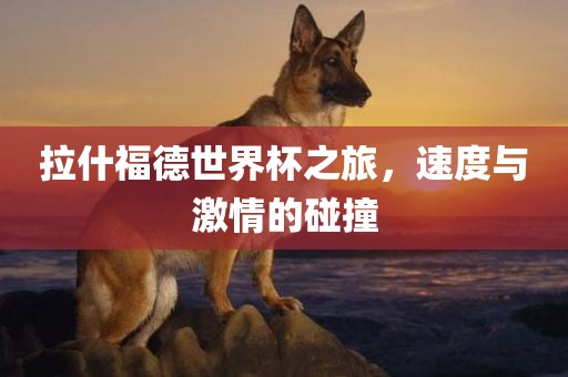 拉什福德世界杯之旅，速度与激情的碰撞吉安市靖泰电力工程有限公司