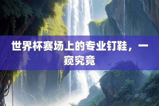 世界杯赛场上的专业钉鞋，一窥究竟
