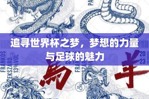 追寻世界杯之梦，梦想的力量与足球的魅力吉安市靖泰电力工程有限公司