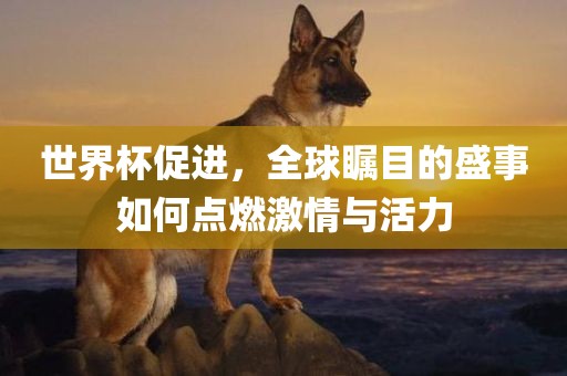 世界杯促进，全球瞩目的盛事如何点燃激情与活力吉安市靖泰电力工程有限公司