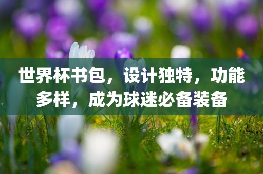 世界杯书包，设计独特，功能多样吉安市靖泰电力工程有限公司，成为球迷必备装备