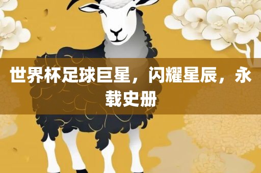 世界杯足球巨星，闪耀星辰，永载史册吉安市靖泰电力工程有限公司