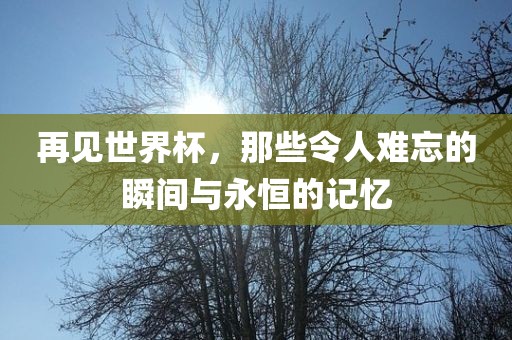 再见世界杯，那些令人难忘的瞬间与永恒的记忆吉安市靖泰电力工程有限公司