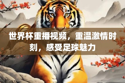 世界杯重播视频，重温激情时刻，感受足球魅力