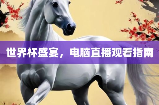 世界杯盛宴，电脑直播观看指南吉安市靖泰电力工程有限公司