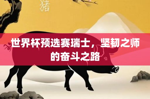 世界杯预选赛瑞士，坚韧之师的奋吉安市靖泰电力工程有限公司斗之路