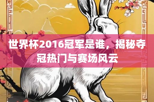 世界杯2016冠军是谁，揭秘夺冠热门与赛场风云吉安市靖泰电力工程有限公司