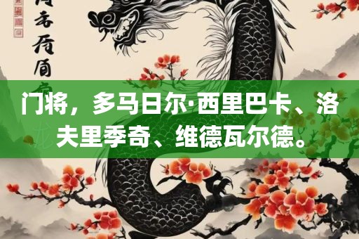 门将，多马日尔·西里巴卡、洛夫里季奇、维德瓦尔德。吉安市靖泰电力工程有限公司