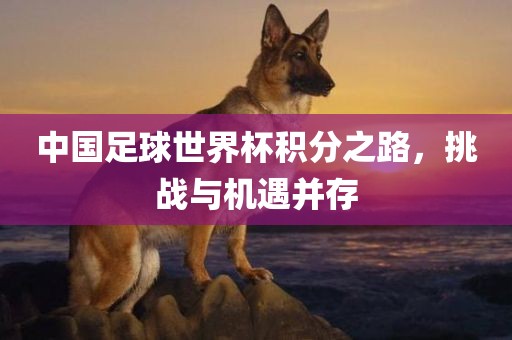 中国足球世界杯积分之路，挑战与机遇并存