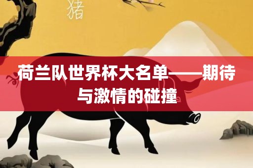 荷兰队世界杯大名单——期待与激情的碰撞