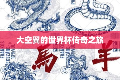 大空翼的世界杯传奇之旅