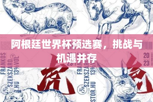 阿根廷世界杯预选赛，挑战与机遇并存