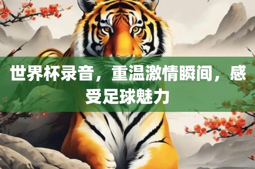 世界杯录音，重温激吉安市靖泰电力工程有限公司情瞬间，感受足球魅力
