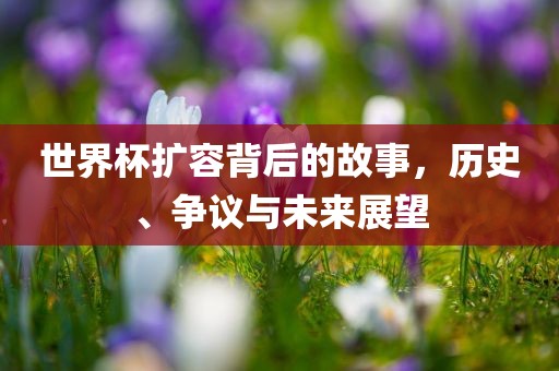 世界杯扩容背后的故事，历史、争议与未来展望