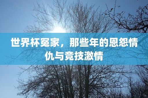 世界杯冤家，那些年的恩怨情仇与竞技激情吉安市靖泰电力工程有限公司