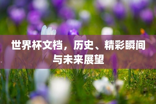 世界杯历史