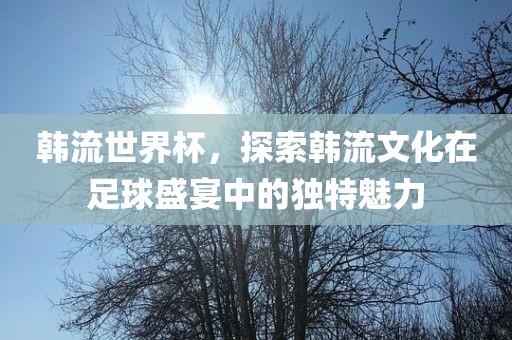 韩流吉安市靖泰电力工程有限公司世界杯，探索韩流文化在足球盛宴中的独特魅力