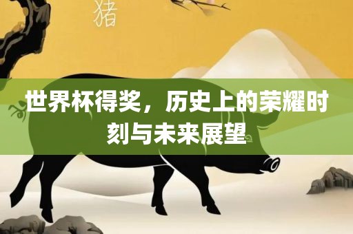 世界杯得奖，历史上的荣耀时刻与未来展望