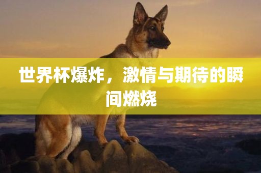 世界杯爆炸，激情与期待的瞬间燃烧吉安市靖泰电力工程有限公司