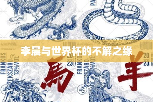 吉安市靖泰电力工程有限公司李晨与世界杯的不解之缘