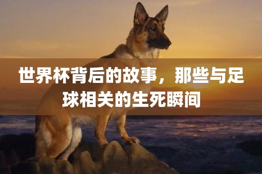 世界杯背后的故事，那些与足球相关的生死瞬间