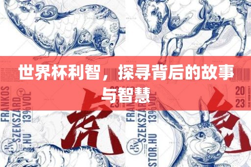 世界杯利智，探寻背后的故事与智慧吉安市靖泰电力工程有限公司
