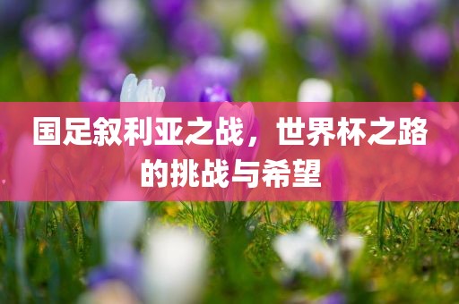 国足叙利亚之战，世界杯之路的挑战与希望吉安市靖泰电力工程有限公司