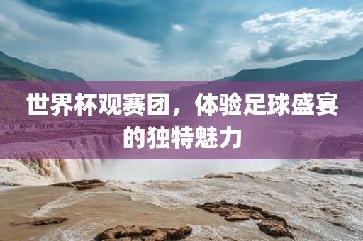 世界杯观赛团，体验足球盛宴的独特魅力