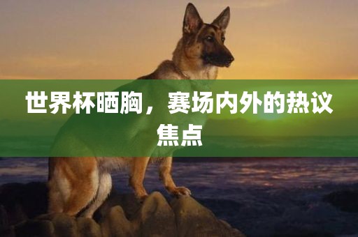 世界杯晒胸，赛场内外的热议焦点吉安市靖泰电力工程有限公司