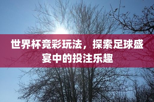 世界杯竞彩玩法，探索足球盛宴中的投注乐趣吉安市靖泰电力工程有限公司