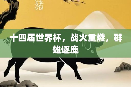 十四届世界杯，战火重燃，群雄逐鹿