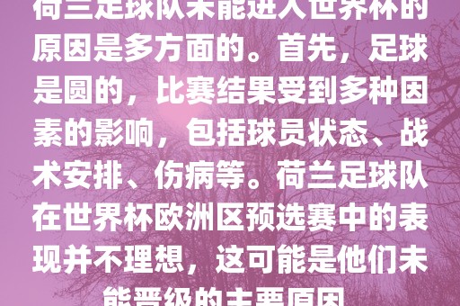 荷兰足球队未能进入世界杯的原因是多方面的。首先，足球是圆的，比赛结果受到多种因素的影响，包括球员状态、战术安排、伤病等。荷兰足球队在世界杯欧洲区预选赛中的表现并不理想，这可能是他们未能晋级的主要原因。
